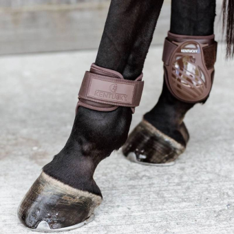 Young Horse Streichkappen Shield Braun