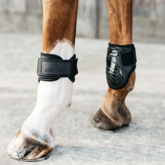 Young Horse Streichkappen Shield Schwarz