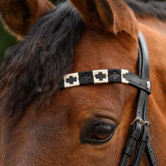 Stirnriemen Polo X-Line Schwarz/Beige