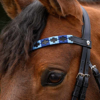 Stirnriemen Polo X-Line Schwarz/Blau