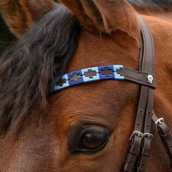 Stirnriemen Polo X-Line Blau/Braun