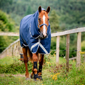 Winterdecke mit Kapuzenhaube Amigo Bravo 12 Plus Bundle (50g+100g+200g) V-Front Marineblau/Grau