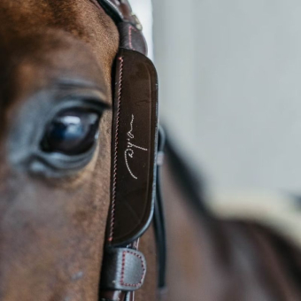 Blinkers Fancy Stitching Braun
