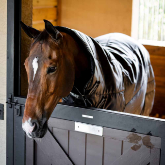 Stalldecke Amigo Insulator Ripstop 210D Plus 200g Schwarz/Silber