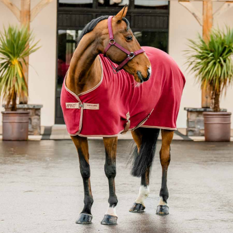 Fleecedecke Amigo Cooler Rot/Beige