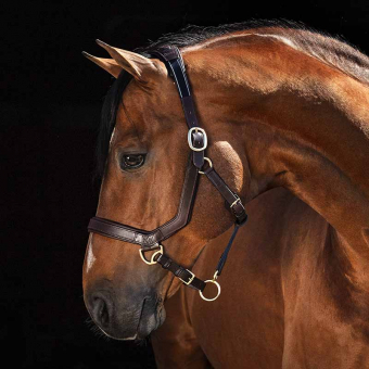 Lederhalfter Rambo Micklem Braun