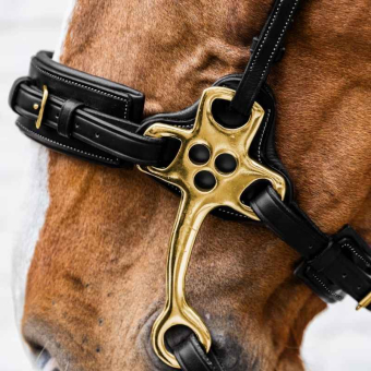 Hackamore Dyon Collection Schwarz