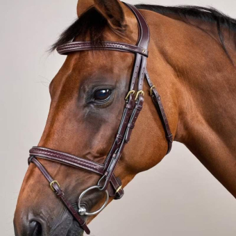 Trense mit kombiniertem Reithalfter Plaited Dyon Collection Braun