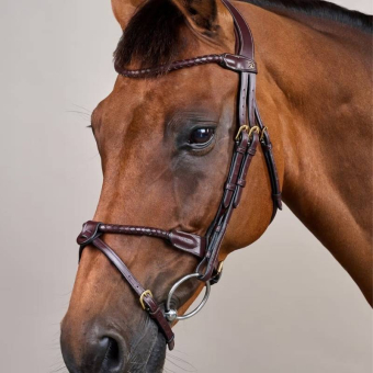 Trense mit kombiniertem Reithalfter Braided Dyon Collection Braun