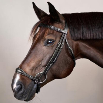 Hannoversche Trense New English Collection Schwarz