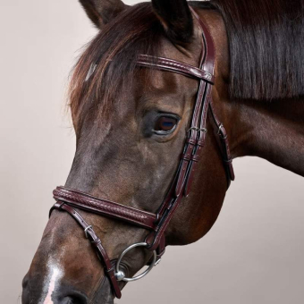 Trense Kombiniertes Reithalfter Plaited New English Collection Braun