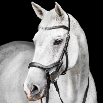 Trense Micklem Competition Schwarz