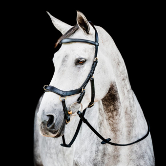 Trense Micklem 2 Multi Schwarz