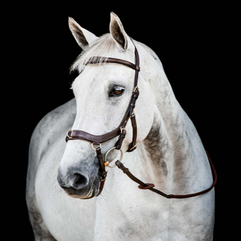 Trense Micklem 2 Multi Dunkelbraun