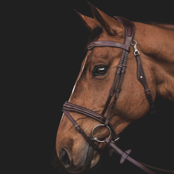 Trense Ready To Ride mit Ziernaht Braun