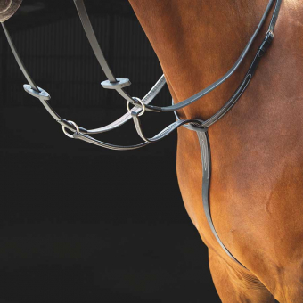 Martingal Salisbury Schwarz