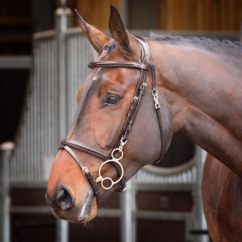 Trense Quick Release Rapida Braun