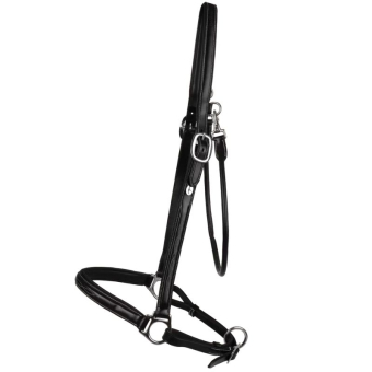 Pflegehalfter Leather WBD Schwarz