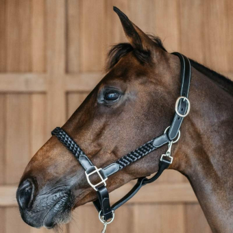 Lederhalfter Plaited WBD Schwarz
