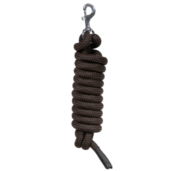 Halfter Training Removable Snap WBD Braun