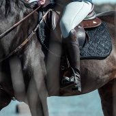 Reitstiefel Veganza Braun Reitstiefel Veganza Braun