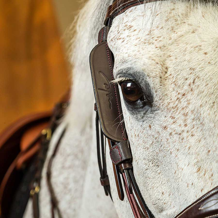 Fokus / Blinkers 2er-Pack Braun