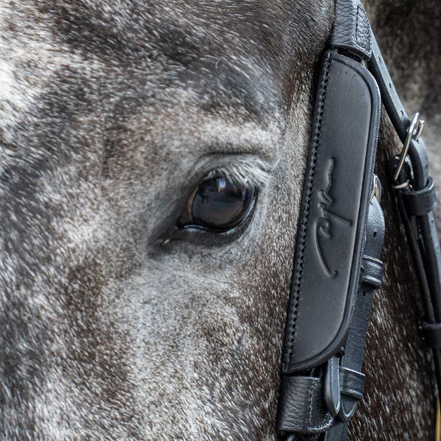 Fokus / Blinkers 2er-Pack Schwarz