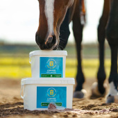 Flohsamen 2,5kg Flohsamen 2,5kg