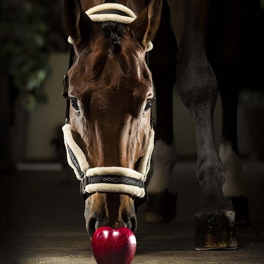 Halfter mit Lammfell Tom Schwarz