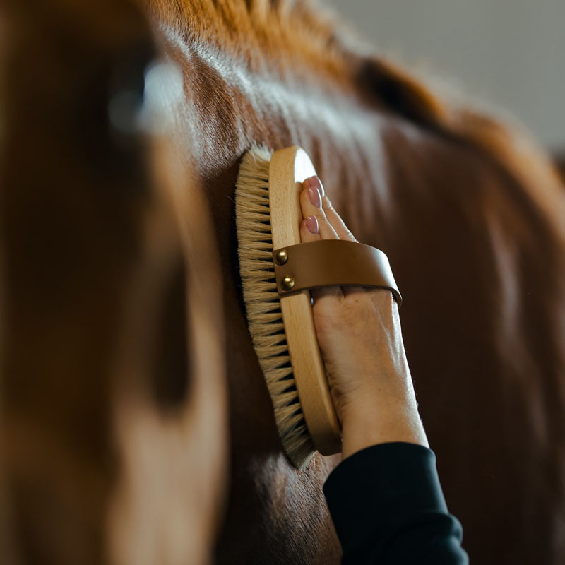 Bürste mit Lederband Tagel Braun
