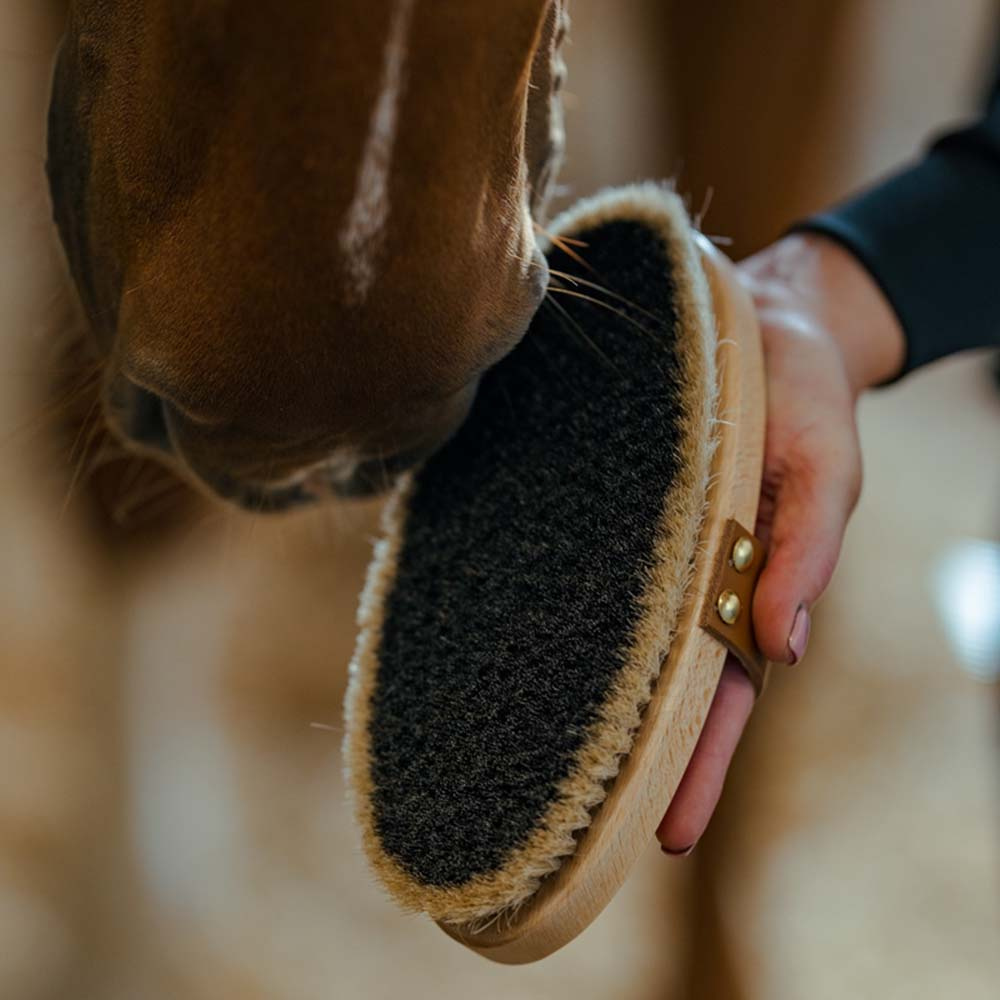 Bürste mit Lederband Tagel Braun