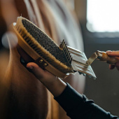 Bürste mit Lederband Tagel Braun Bürste mit Lederband Tagel Braun