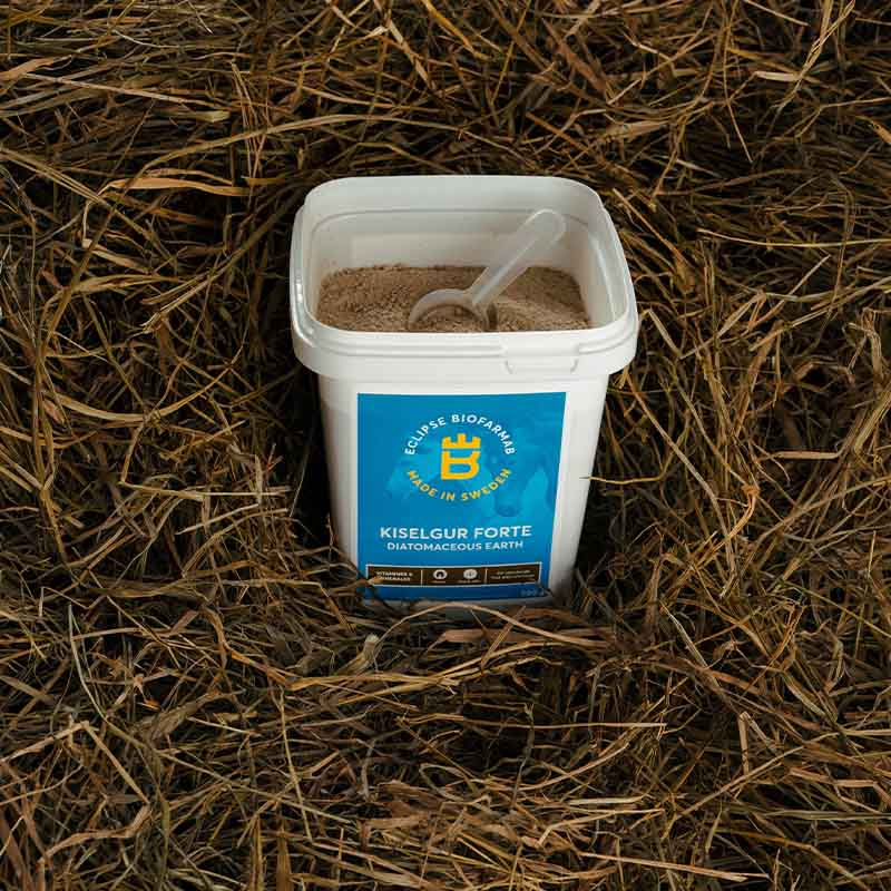 Kieselgur Forte 0,5 kg