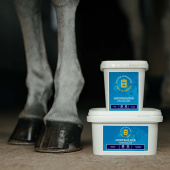 Hoofbuilder Hoofbuilder