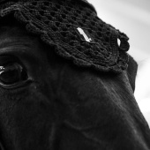 Ohrennetz Classic Schwarz Ohrennetz Classic Schwarz