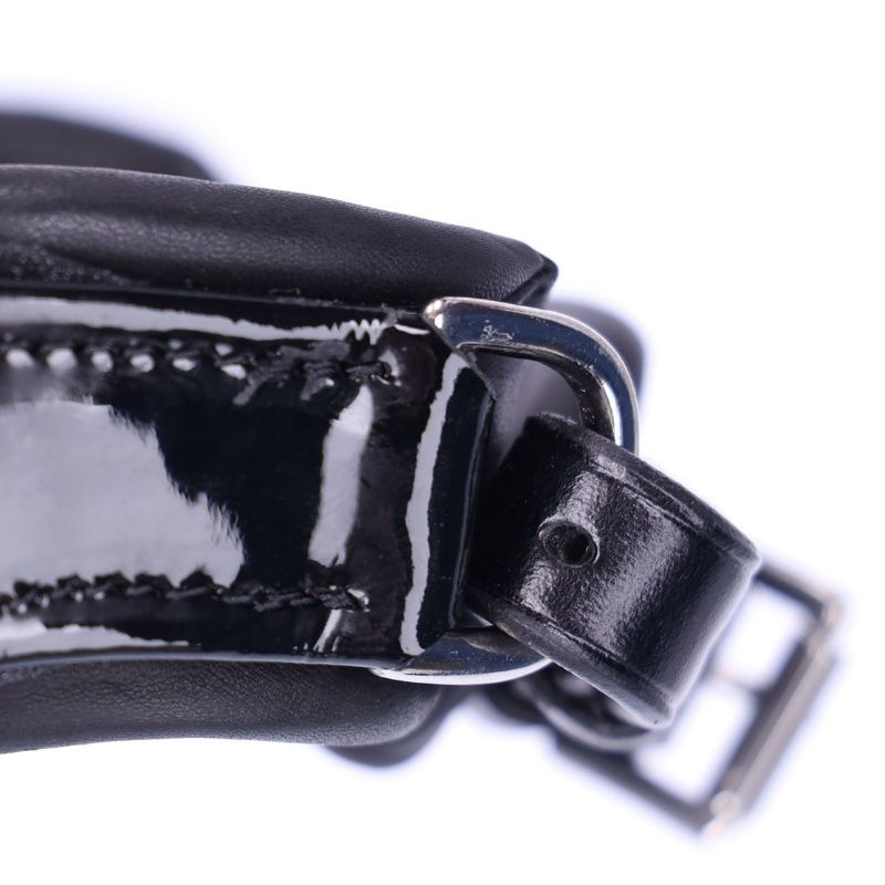Dressurtrense Lack Isabell Werth Satchmo Schwarz