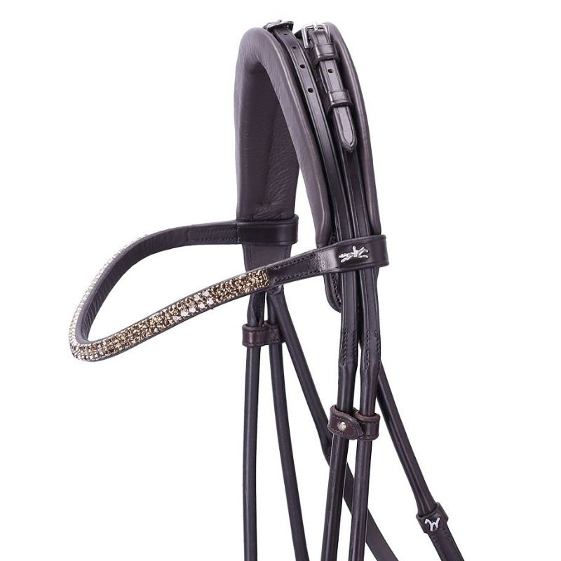 Dressurtrense Isabell Werth Satchmo Braun
