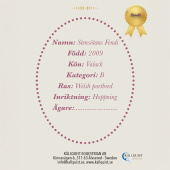 Steckenpferde Fendi Steckenpferde Fendi