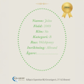 Steckenpferde Joline Steckenpferde Joline