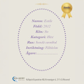 Steckenpferde Estelle