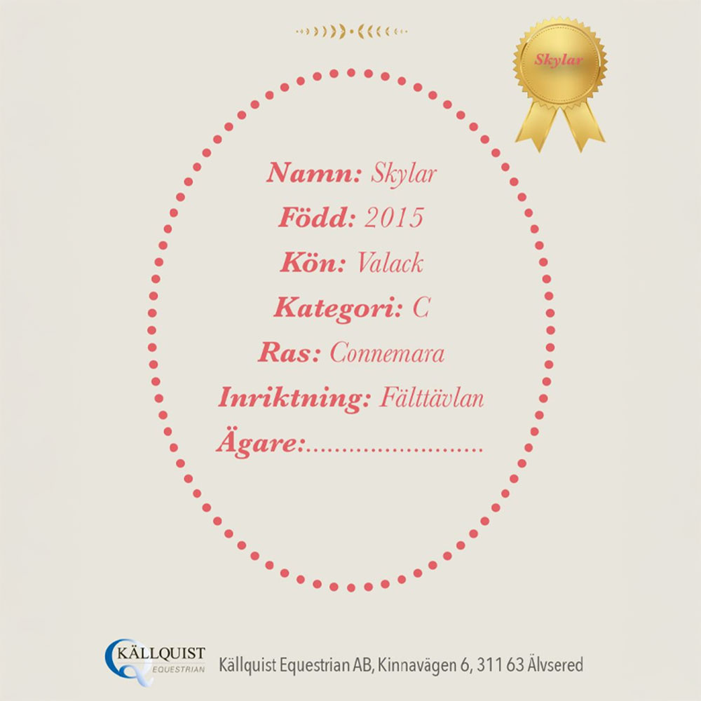 Steckenpferde Skylar