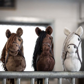 Steckenpferde Skylar Steckenpferde Skylar