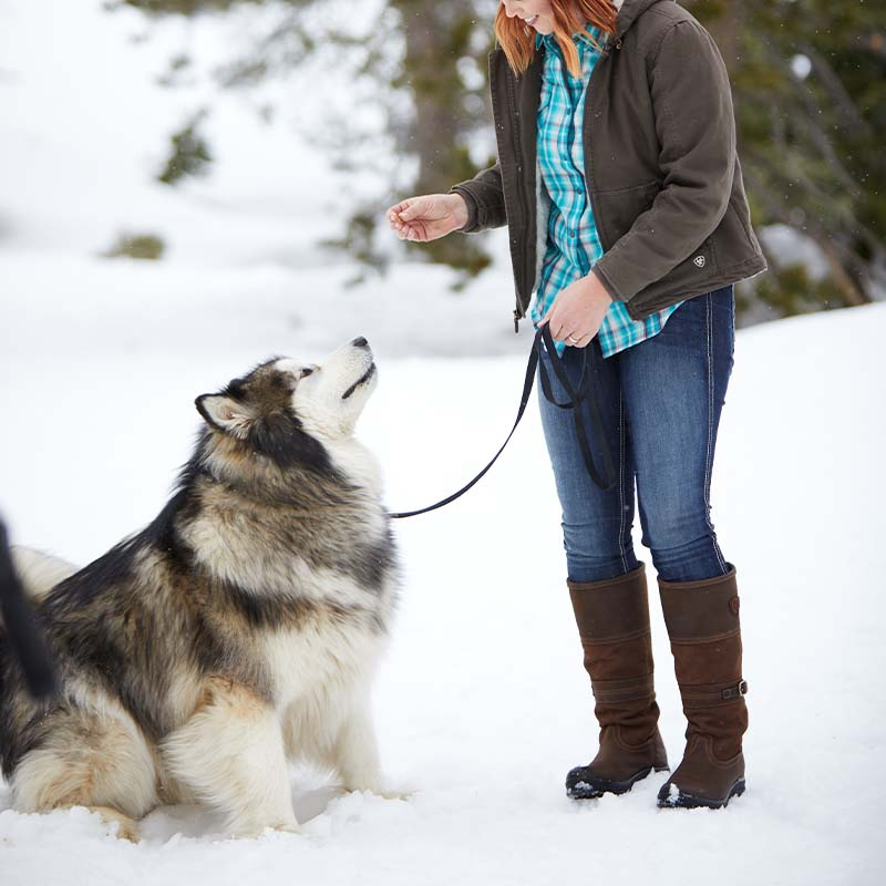 Stiefel Langdale H2O Braun