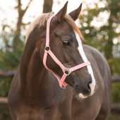 Halfter Slide Hellrosa Halfter Slide Hellrosa