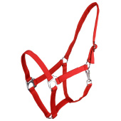 Halfter Slide Rot Halfter Slide Rot