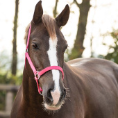 Halfter Slide Fuchsia Halfter Slide Fuchsia