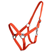 Halfter Slide Orange Halfter Slide Orange