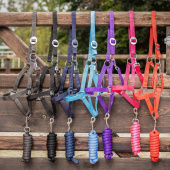 Halfter Slide Lila Halfter Slide Lila