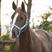 Halfter Slide Hellblau Halfter Slide Hellblau