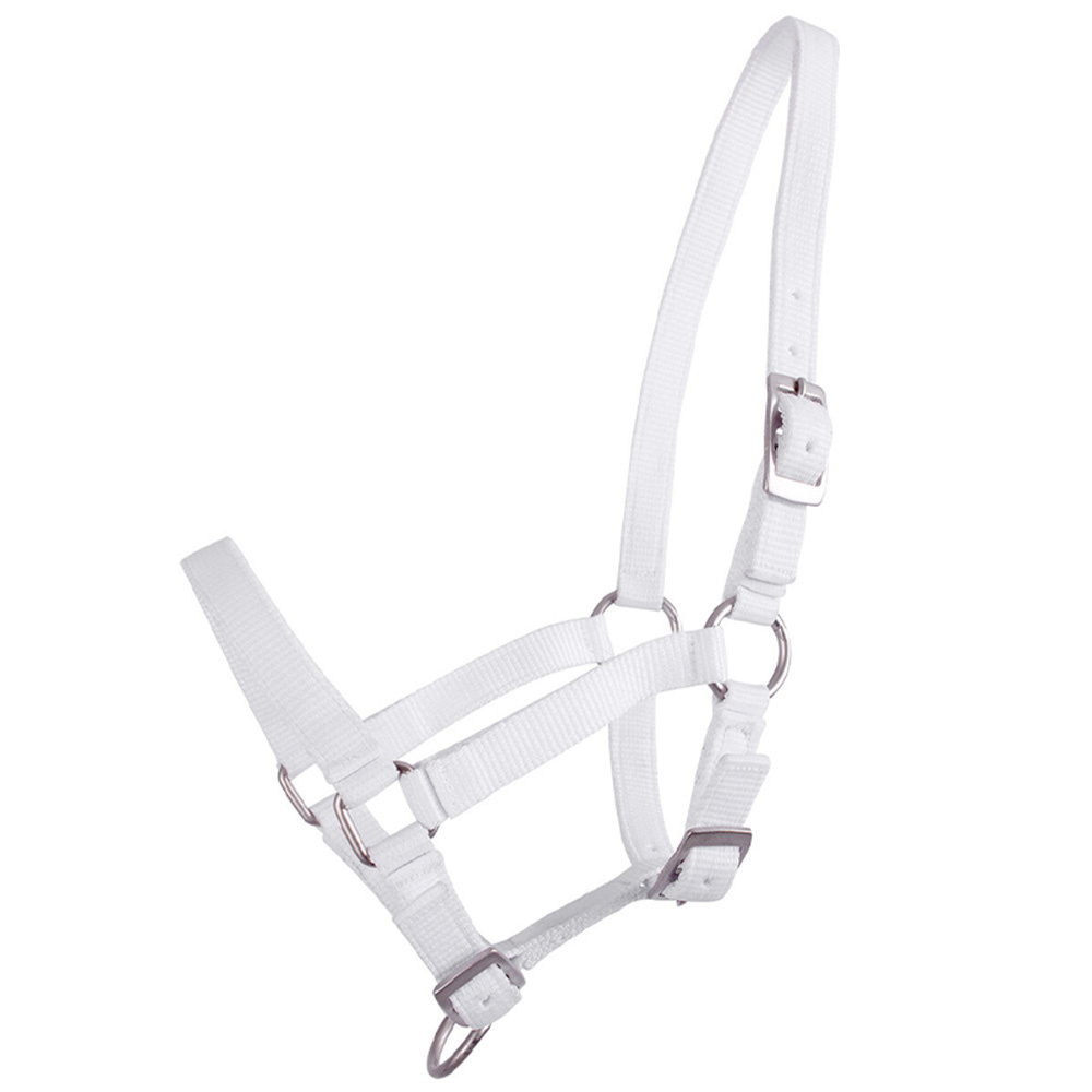 Fohlenhalfter Adjustable Weiß